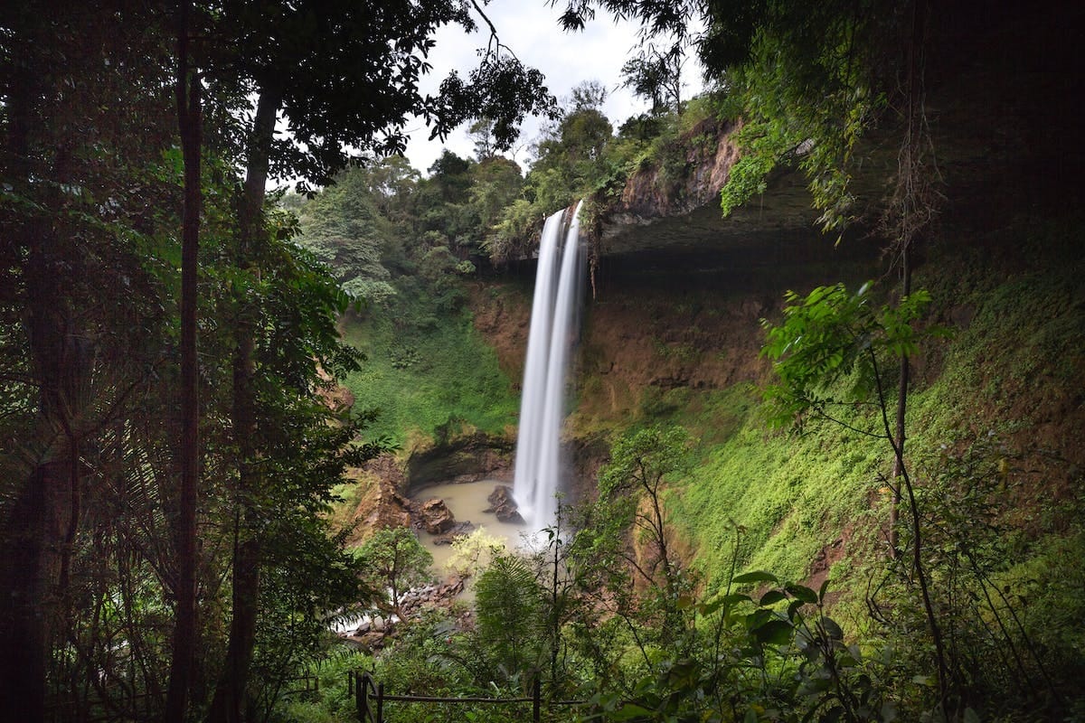 6 conseils naturels pour soulager l’accumulation d’eau dans les poumons 6 conseils naturels pour soulager l’accumulation d’eau dans les poumons